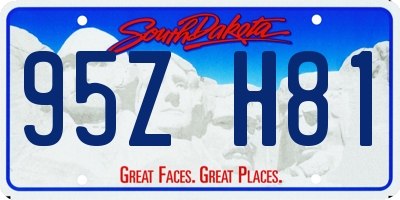 SD license plate 95ZH81