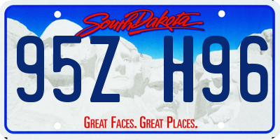 SD license plate 95ZH96