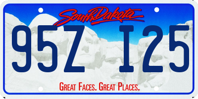 SD license plate 95ZI25
