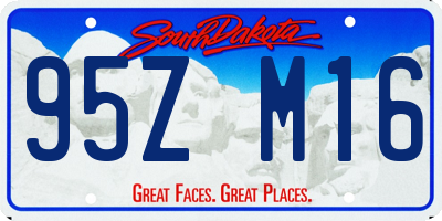 SD license plate 95ZM16