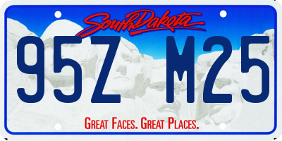 SD license plate 95ZM25