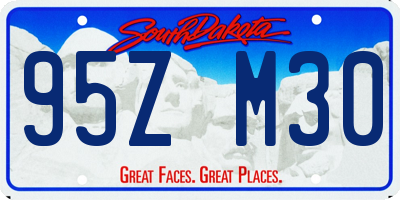 SD license plate 95ZM30
