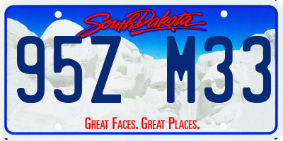 SD license plate 95ZM33