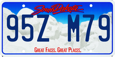 SD license plate 95ZM79