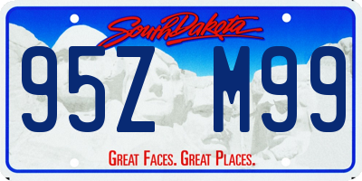 SD license plate 95ZM99