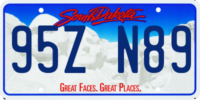 SD license plate 95ZN89