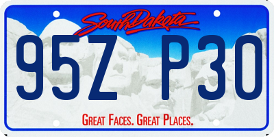 SD license plate 95ZP30