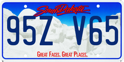 SD license plate 95ZV65