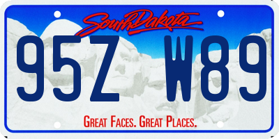 SD license plate 95ZW89