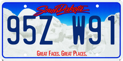 SD license plate 95ZW91