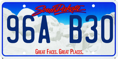 SD license plate 96AB30