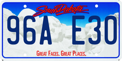 SD license plate 96AE30