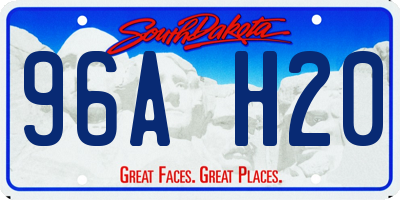 SD license plate 96AH20