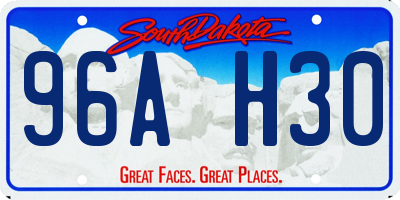 SD license plate 96AH30