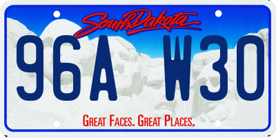 SD license plate 96AW30