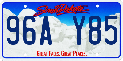 SD license plate 96AY85