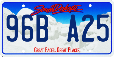 SD license plate 96BA25