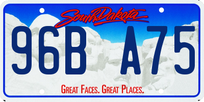 SD license plate 96BA75