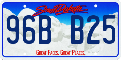 SD license plate 96BB25