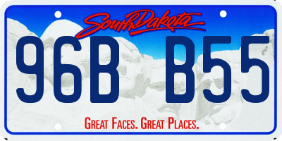 SD license plate 96BB55