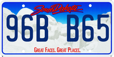 SD license plate 96BB65