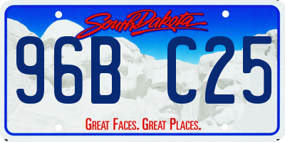 SD license plate 96BC25