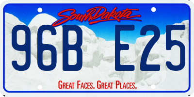 SD license plate 96BE25
