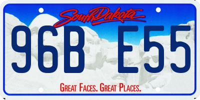 SD license plate 96BE55