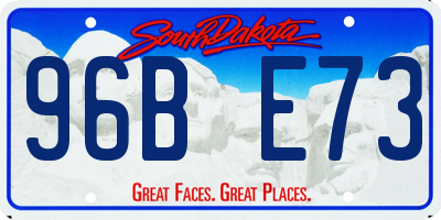 SD license plate 96BE73