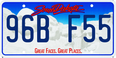 SD license plate 96BF55