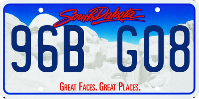 SD license plate 96BG08