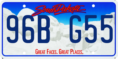 SD license plate 96BG55