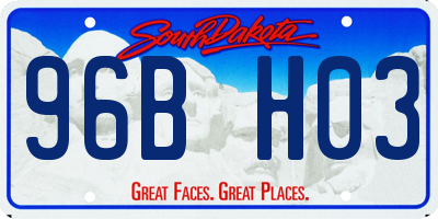SD license plate 96BH03