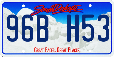 SD license plate 96BH53