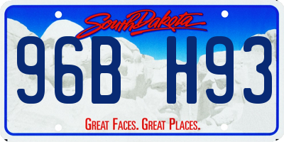SD license plate 96BH93