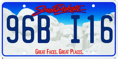 SD license plate 96BI16