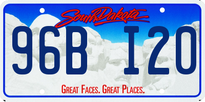 SD license plate 96BI20