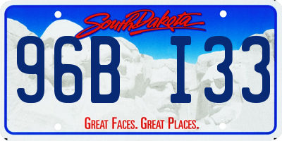 SD license plate 96BI33