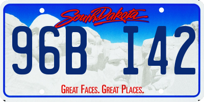 SD license plate 96BI42