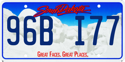 SD license plate 96BI77