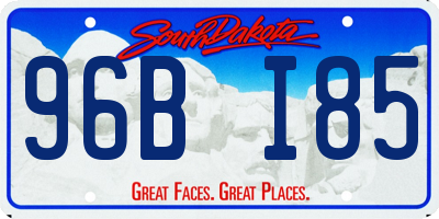 SD license plate 96BI85