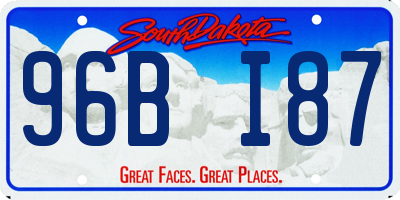 SD license plate 96BI87