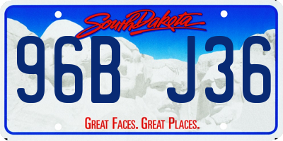 SD license plate 96BJ36