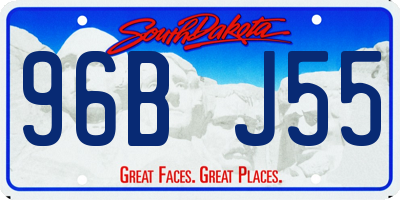 SD license plate 96BJ55