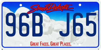 SD license plate 96BJ65