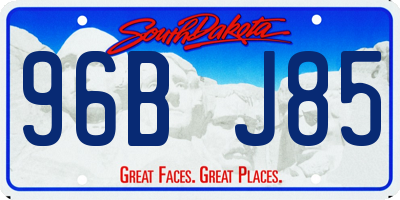 SD license plate 96BJ85