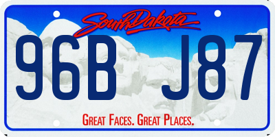 SD license plate 96BJ87