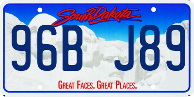 SD license plate 96BJ89
