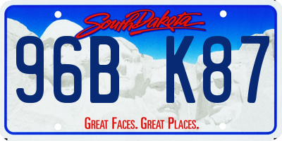 SD license plate 96BK87