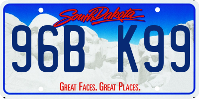 SD license plate 96BK99